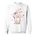 スコティッシュフォールド ネコ 桜の花 長袖tシャツ スウェットシャツ