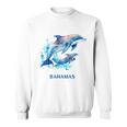 ドルフィン バケーション ヴィンテージ バハマ ビーチ デスティネーション スウェットシャツ
