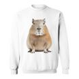 豚 ペット げっ歯類 動物愛好家 ギフト スウェットシャツ