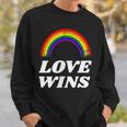 Lgbt フラッグ プライド ポケット レインボー Love Wins パーティー レインボー スウェットシャツ 彼への贈り物