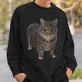 Oiia Oiia 猫 面白い 回転する猫 ミーム スウェットシャツ 彼への贈り物