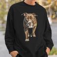 アメリカンピットブルテリア スウェットシャツ 彼への贈り物