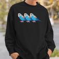 セキセイインコ鳥、セキセイインコ青い鳥 スウェットシャツ 彼への贈り物
