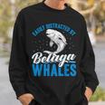 ベルーガクジラに簡単に気を取られる面白いシロイルカ動物。 スウェットシャツ 彼への贈り物