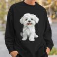 マルチーズ 犬 グラフィック ペット イラスト マルチーズ スウェットシャツ 彼への贈り物