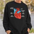 心臓解剖学教育 循環器学 スウェットシャツ 彼への贈り物