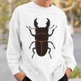 スマトラオオヒラタクワガタ _昆虫_クワガタ スウェットシャツ 彼への贈り物
