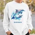 ドルフィン バケーション ヴィンテージ バハマ ビーチ デスティネーション スウェットシャツ 彼への贈り物