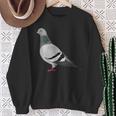 伝書鳩 鳥 動物 図 バードウォッチング 贈り物 鳥類学者 スウェットシャツ 年配の女性への贈り物