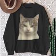 怒っている猫 リアル ミーム ウイルス インターネット スウェットシャツ 年配の女性への贈り物