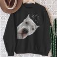 面白い好奇心旺盛な犬ドゴアルヘンティーノ スウェットシャツ 年配の女性への贈り物
