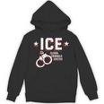 Ice Illegal Criminals Evicted Hoodie