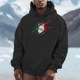 イタリア国旗 トリコロール イタリアバナー Hoodie