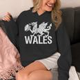 ラグビーボール ウェールズドラゴン メンズ レディース ボーイズ ガールズ ウェールズ パーカー