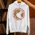 No Love Like Boston Love Hoodie