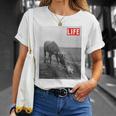 Life Picture Collection 馬と猫（1） Tシャツ 彼女への贈り物