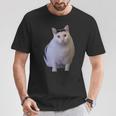 Meme Huh Catミームハァキャット面白い Tシャツ 面白い贈り物