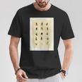 ヴィンテージ トラウトフィッシング フライ メアリーオービス フィッシャーマンアート Tシャツ 面白い贈り物