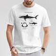 Anatomía Del Gran Tiburón Blanco Camiseta unisex Regalos divertidos