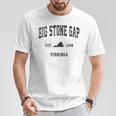 Bigtone Gap バージニアa ビンテージ スポーツデザイン ブラックプリント Tシャツ 面白い贈り物
