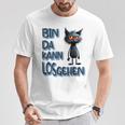 Katze Bin Da 'T Losgehen ファニーステートメントキャット Tシャツ 面白い贈り物