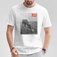 Life Picture Collection 馬と猫（1） Tシャツ 面白い贈り物
