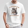 アライグマのミーム It's What It's And It Is Not Greatarcastic Tシャツ 面白い贈り物
