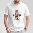 ウェイトリフティング 筋トレ バーベル やる気がないなら家に帰れ 赤毛 猫 ねこ Tシャツ 面白い贈り物