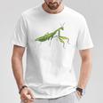 カマキリの虫バッタ カマキリの虫バッタ カマキリの虫バッタ Tシャツ 面白い贈り物