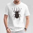 コーカサスオオカブト _昆虫_カブトムシ Tシャツ 面白い贈り物