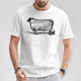 ビンテージ羊の描画 Tシャツ 面白い贈り物