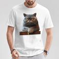 ブリティッシュショートヘア猫猫ママ猫ママかわいい猫 長袖tシャツ Tシャツ 面白い贈り物