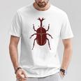 ヤマトカブト _昆虫_カブトムシ Tシャツ 面白い贈り物