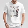 昆虫コレクション 種 虫 ビンテージ チャート 昆虫学 Tシャツ 面白い贈り物