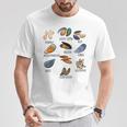 異なる種類のムール貝の品種コレクション、かわいいムール貝が大好き Tシャツ 面白い贈り物