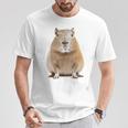 豚 ペット げっ歯類 動物愛好家 ギフト Tシャツ 面白い贈り物