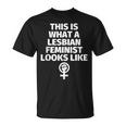 Feminista Lesbiana Es Del Orgullo Gay In Mangas Camiseta unisex