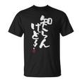 「知らんけど！！」おもしろ 筆文字 服 面白い文字入り Tシャツ