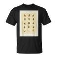 ヴィンテージ トラウトフィッシング フライ メアリーオービス フィッシャーマンアート Tシャツ