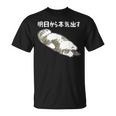 明日から本気出す 面白い猫のことわざ Tシャツ