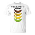 The Evolution Of Banana Novelty Graphic & Cool s Tシャツ