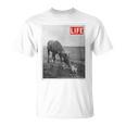 Life Picture Collection 馬と猫（1） Tシャツ