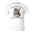 アライグマのミーム It's What It's And It Is Not Greatarcastic Tシャツ