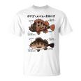 カサゴとメバルの見分け方 Tシャツ