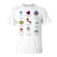 クラゲ 種 シージェリー 生物学者へのギフト Tシャツ
