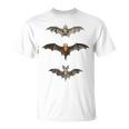 コウモリ 科学イラスト 描画 生物学 アート ハロウィン Tシャツ