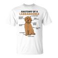 ラブラドゥードルの解剖学かわいい犬面白い犬ラブラドゥードル Tシャツ