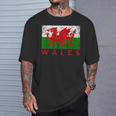 ウェールズ国旗 ウェールズ ドラゴン アンティーク調 メンズ レディース キッズ Tシャツ 彼への贈り物