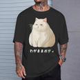 私の体の猫 白猫 太った猫 ぽっちゃり猫愛好家 かわいい 面白い Tシャツ 彼への贈り物