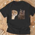 2匹の猫がミームを話す 長袖tシャツ Tシャツ 高齢者への贈り物